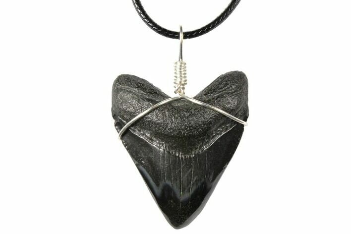 Fossil Megalodon Tooth Necklace #130946